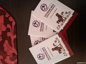 catei boxer german  - imagine 2 catei boxer german  - imagine 2