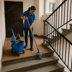 Curatenie Igienizare Scari De Bloc