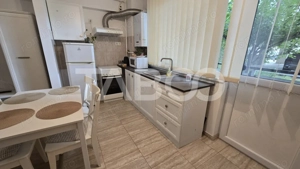 Apartament Pet Friendly de inchiriat 2 camere parcare Doamna Stanca - imagine 3