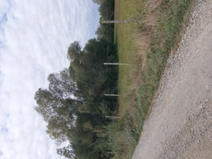 Vânzare teren intravilan în comuna Râșca  județul Suceava 