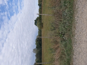 Vânzare teren intravilan în comuna Râșca  județul Suceava  - imagine 5