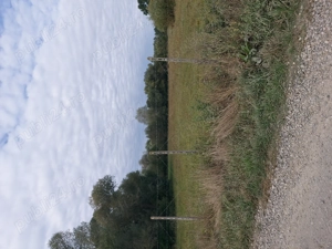 Vânzare teren intravilan în comuna Râșca  județul Suceava  - imagine 4