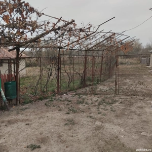 Proprietate de vanzare.Sat Draghicesti com.Sapata jud.Arges - imagine 10