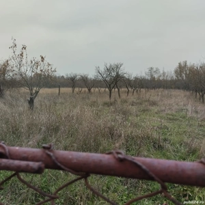 Proprietate de vanzare.Sat Draghicesti com.Sapata jud.Arges - imagine 4