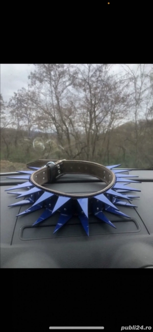 Zgarda cu colti din fier prnttu caini ciobanesti care apara caprele si vacile  - imagine 2 Zgarda cu colti din fier prnttu caini ciobanesti care apara caprele si vacile  - imagine 2