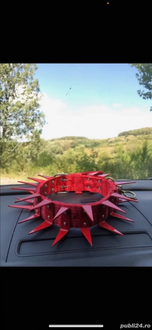 Zgarda cu colti din fier prnttu caini ciobanesti care apara caprele si vacile 