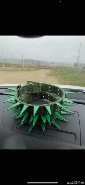 Zgarda cu colti din fier prnttu caini ciobanesti care apara caprele si vacile  - imagine 3 Zgarda cu colti din fier prnttu caini ciobanesti care apara caprele si vacile  - imagine 3