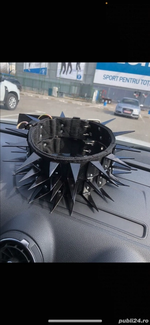 Zgarda cu colti din fier prnttu caini ciobanesti care apara caprele si vacile  - imagine 5 Zgarda cu colti din fier prnttu caini ciobanesti care apara caprele si vacile  - imagine 5