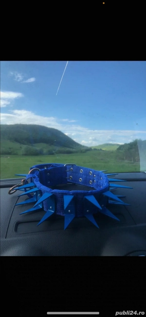 Zgarda cu colti din fier prnttu caini ciobanesti care apara caprele si vacile  - imagine 4 Zgarda cu colti din fier prnttu caini ciobanesti care apara caprele si vacile  - imagine 4