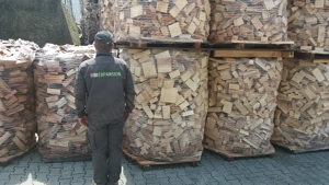 EXPANSION - Vindem lemn de foc din fag - imagine 2