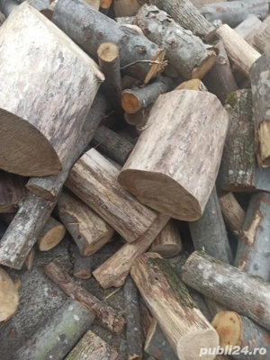 lemne de foc esenta tare x moale