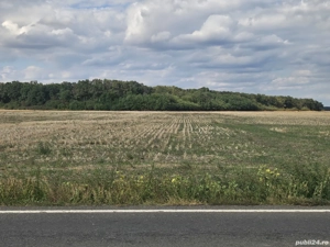 Teren Fundulea 16660 - imagine 2