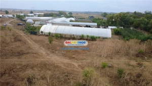 Solare Flori si Legume - Bujori - imagine 6