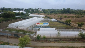 Solare Flori si Legume - Bujori - imagine 4