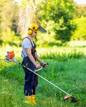 Întrețin spații verzi tai iarba cu motocoasa 