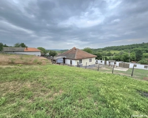 vand casă bătrânească Sat Breznicioara Comuna Stângaceaua județul Mehedinți  - imagine 2