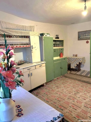 vand casă bătrânească Sat Breznicioara Comuna Stângaceaua județul Mehedinți  - imagine 5