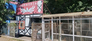 Afacere de vânzare la cheie  - imagine 4