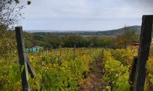 Vand teren de casa, Niscov- Buzau - imagine 5