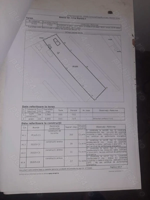 Vând teren 9950 mp cu casă bătrânească Malu Spart