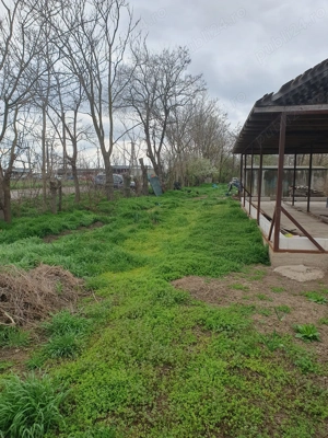 Teren intravilan Silistraru Braila - imagine 3