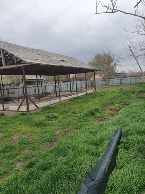 Teren intravilan Silistraru Braila - imagine 4