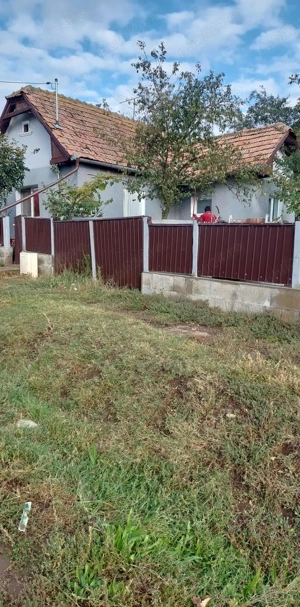 Se vinde casa și teren