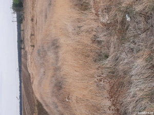 Teren intravilan - imagine 5 Teren intravilan - imagine 5