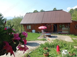 Casa traditionala + teren  intravilan 1757 mp - imagine 12