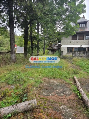 Vindem Vila-Pensiune in Sinaia , teren 6290 mp intravilan CC - imagine 20