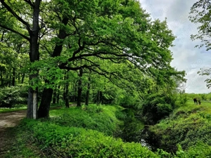 Teren intravilan Lunca Calnicului, Prejmer, loturi de 460 și 1000 mp - imagine 7