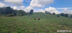 vand teren extravilan Varciorog