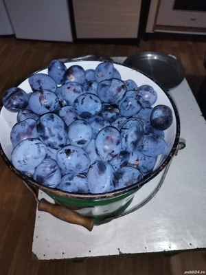 Rachiu din prune și vin de streșinică - imagine 2