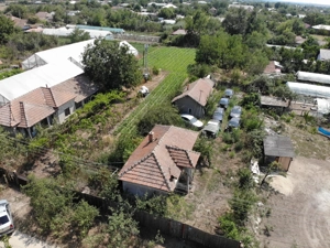 Teren in Com. Mârzănești, Sat Cernetu, 2000 mp 12km de Alexandria - imagine 4