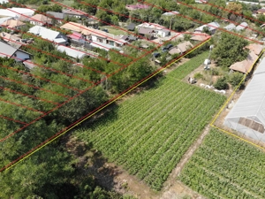 Teren in Com. Mârzănești, Sat Cernetu, 2000 mp 12km de Alexandria - imagine 7