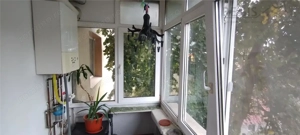 Apartament 3 camere etaj 1 decomandat Viitorului - imagine 10 Apartament 3 camere etaj 1 decomandat Viitorului - imagine 10