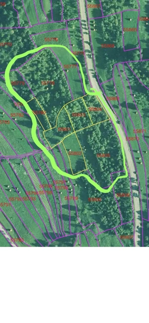 Teren Panoramic Belvedere Breb