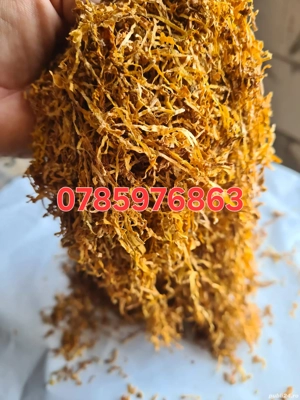 Tutun firicel 0,1 mm 3+1 gratis