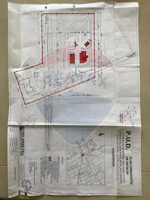 Teren cu potențial investițional – 31.400 mp – DN7, județul Arad - imagine 3