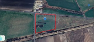 Teren cu potențial investițional – 31.400 mp – DN7, județul Arad - imagine 2