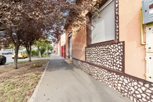 Imobil cu spatiu comercial stradal de vanzare in Arad