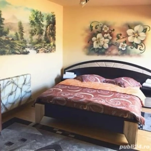 Pensiune 15 camere - Revelion 2026 - imagine 2