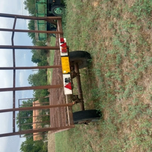 Balenă baloți   - imagine 3