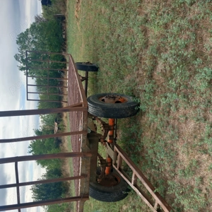 Balenă baloți   - imagine 2