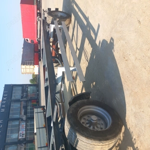 Balenă baloți  - imagine 3