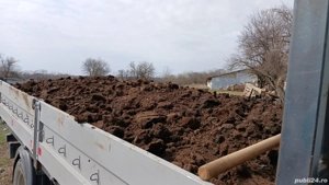 gunoi de oaie ,vaca  3 mc!