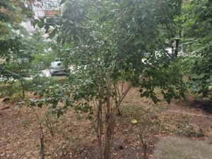 Vand apartament 3 camere - imagine 10