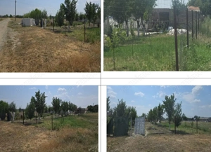 Teren si constructie-Saveni, Jud. Ialomita - imagine 2