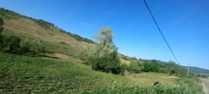 Teren intravilan pt construcții  - imagine 4