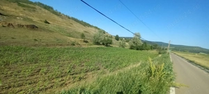 Teren intravilan pt construcții  - imagine 8